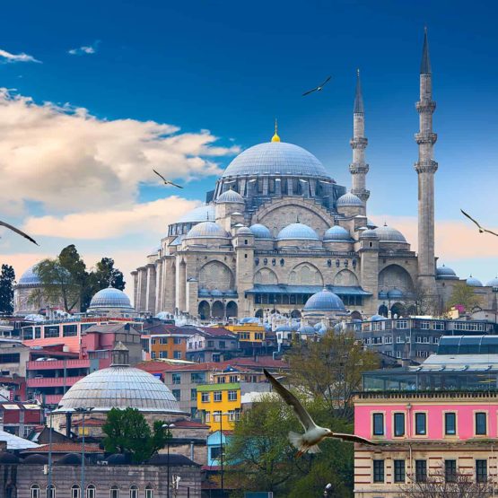 Why do Arab tourists visit Turkey a lot?